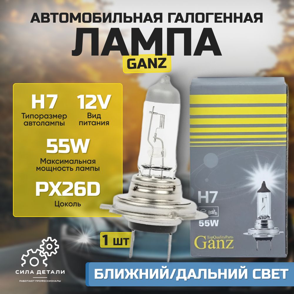 Лампа автомобильная GANZ GIP06013 — GIP06013