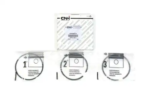 Кольца поршневые 3.0 STD Daily (d 95.8mm, комплект на 1 поршень) 2996623 IVECO — 2996623