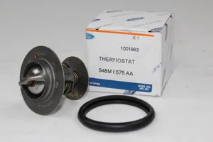 Термостат Ford Transit OES 0018.03 OES — OES 0018.03
